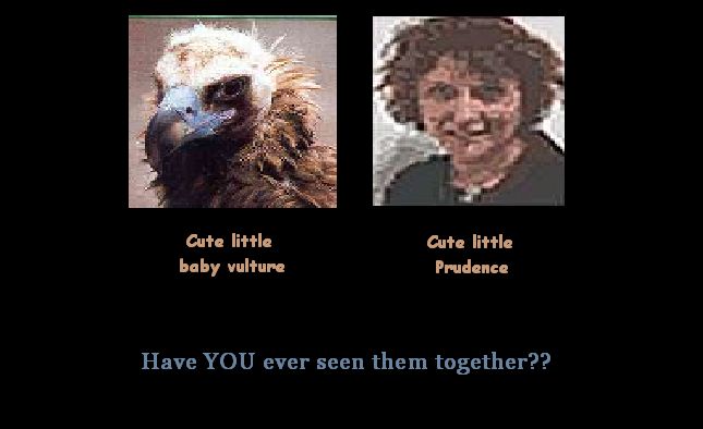 Pru Calabrese and Fine-Feathered Friend